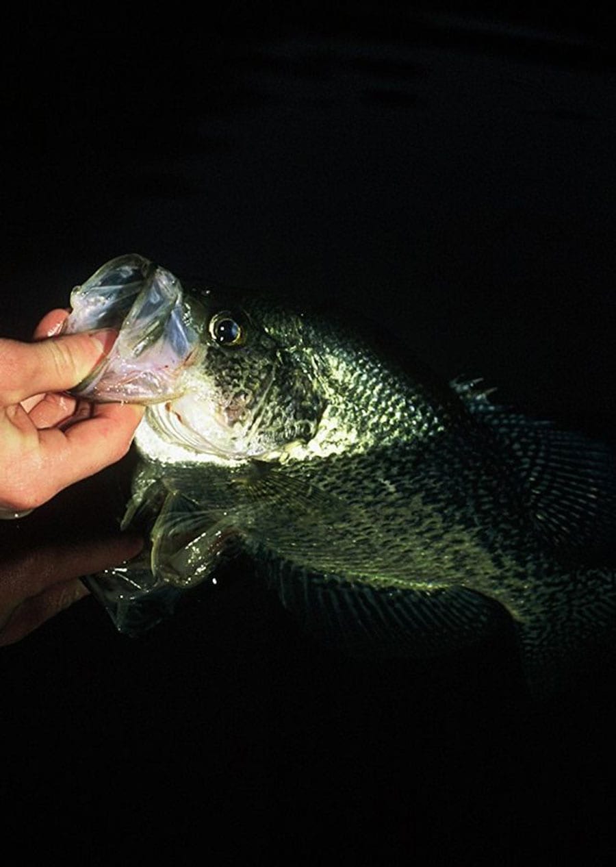 CRAPPIE FISHING: Micro Tube Jig & Float - Winter Jigs for Banking