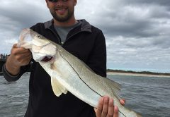 Snook often hang out near the jetty at the Ports’ entrance.