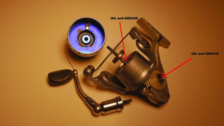 How To Clean, Oil, and Grease a Fishing Spinning Reel 
