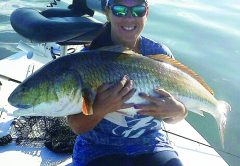 This is a 45" Red Drum caught by Denise Rolon on a Finger Mullet near Bio Lab. He was quickly released after this photo.