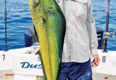 Dolphin are the summer favorite.