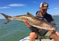 Brandon Sebree 35 LB Cobia caught off Port Canaveral Jetties.
