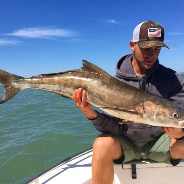 Brandon Sebree 35 LB Cobia caught off Port Canaveral Jetties.