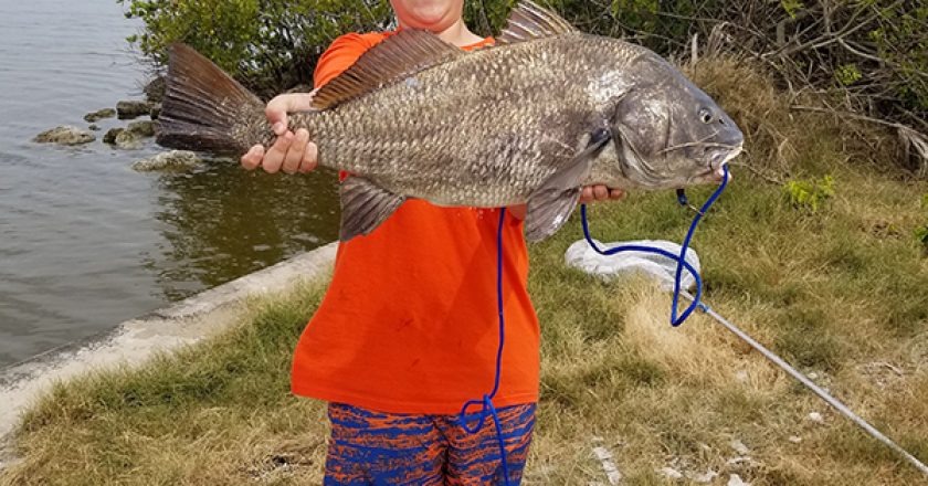 Brett Jenkins (12 yrs old) with this MONSTER Black Drum- His 1st ever!