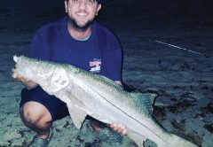 Chris Pascual caught this snook off the beach on an artificial lure.