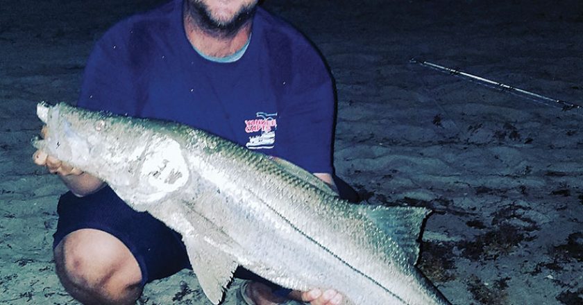 Chris Pascual caught this snook off the beach on an artificial lure.