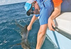 Sailfish release with Nomad Fishing Charters. #keepemwet