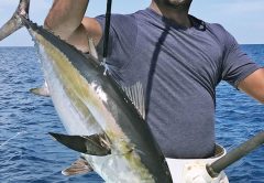 Nice blackfin tuna caught with Nomad Fishing Charters.