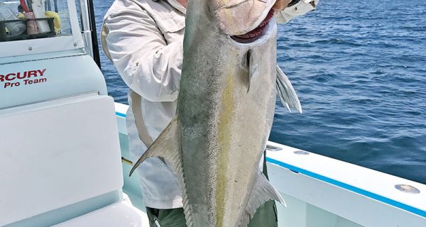 Capt. Orly with a big Miami amberjack.