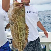 Black grouper move deep for the summer.