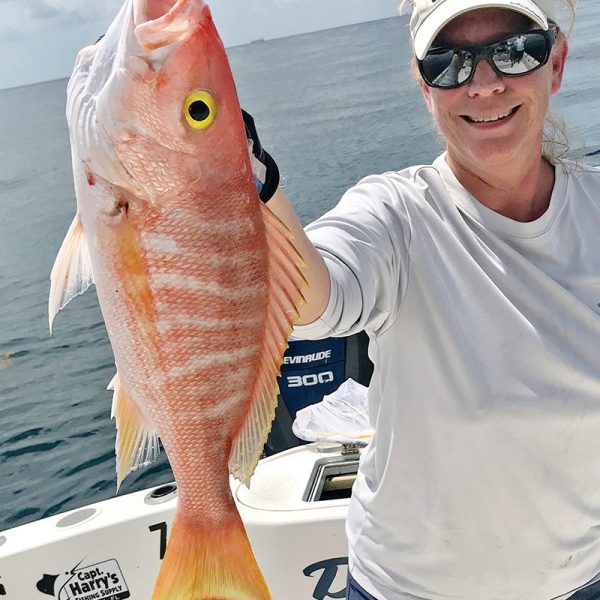 Big yellow eye snappers are snapping!