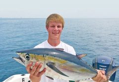 Yes, blackfin tuna eat shrimp.