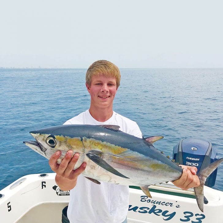 Tailing The Kingfish Migration - Coastal Angler & The Angler Magazine