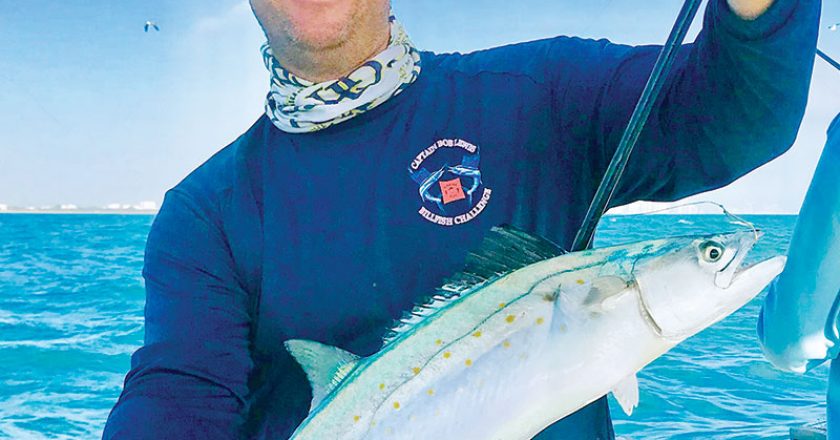 Spanish mackerel caught aboard Bouncer’s Dusky 33.
