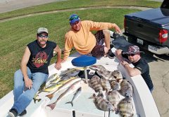 Roy, Chappy & Geno from IN with a nice haul of sheepshead, pompano, reds & Spanish out of the bay aboard C-note Charters.