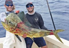 Big bull dolphin caught aboard the Double Threat.