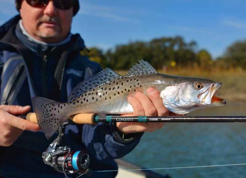 g loomis conquest spinning rod