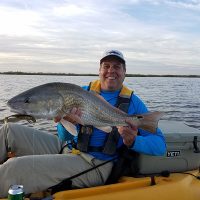 Redfish are always welcome bycatch when seatrout fishing with soft plastics on a Local Lines charter trip.