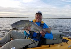 Redfish are always welcome bycatch when seatrout fishing with soft plastics on a Local Lines charter trip.