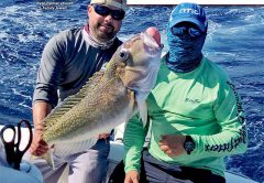 Coastal Angler Ft. Lauderdale - May 2018