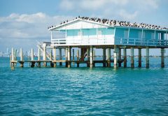 A fishing shack in Stiltsville near Miami.