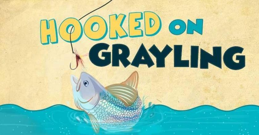 Hooked on grayling