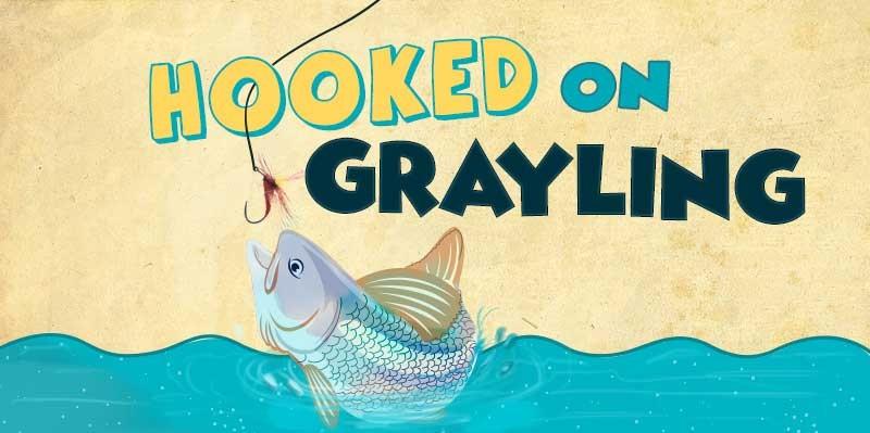 Hooked on grayling