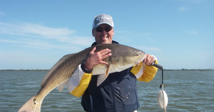Bill battled a huge lagoon monster on a recent trip with Capt. Mark Wright. The 45 inch beast ate a Z-Man Diezel Minnowz and fought hard for nearly thirty minutes!