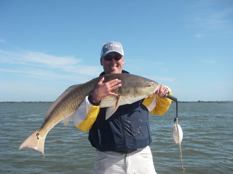 Bill battled a huge lagoon monster on a recent trip with Capt. Mark Wright. The 45 inch beast ate a Z-Man Diezel Minnowz and fought hard for nearly thirty minutes!