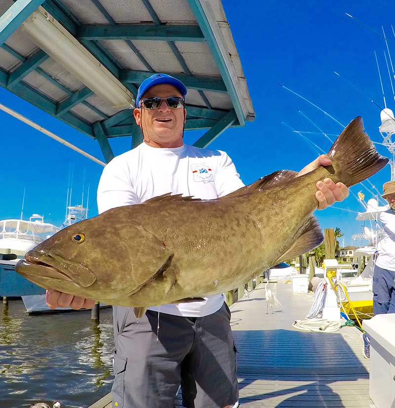 The Prize of Bottom Fishing.Snapper and Grouper - Saltwater Angler