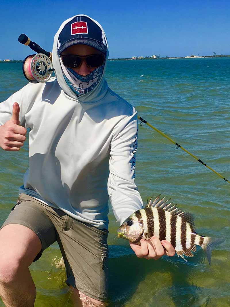 Sheepshead on the ICW  Fishing from Florida Shores