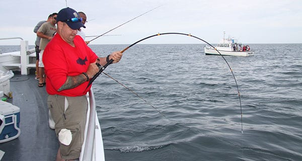 Choosing Hooks for Fluke (Summer Flounder) Fishing - Fisherman Magazine  Series 