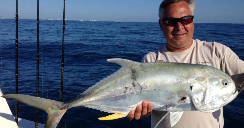 Giant jack crevalle are just one of the powerful species that are possible at Canaveral this month. Tim Lessing got his on a live pogie (menhaden) and VMC circle hook.