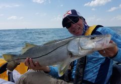 Snook is always a welcome visitor on kayak trip with LocalLinesCharters.com