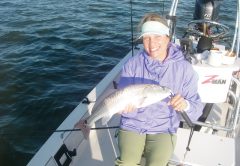 Kim catches a fine example of a Mosquito Lagoon redfish on a recent trip with Capt. Mark Wright.