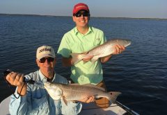 Redfish like this pair that hit live free-lined shrimp, may be possible on the shallow flats if the waters stay relatively clear and baitfish are present.