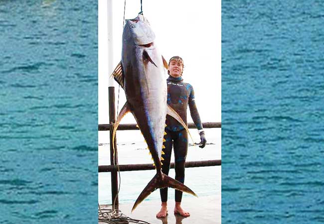 Daniel Hulme's 266-pound yellowfin tuna on a Polespear is the IUSA