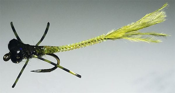 Fly of the Month – Dancing Damsel - Coastal Angler & The Angler Magazine