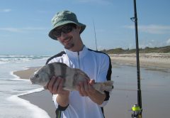 Angler admires his 18 inch keeper black drum caught in the surf on a pompano rig and clam.