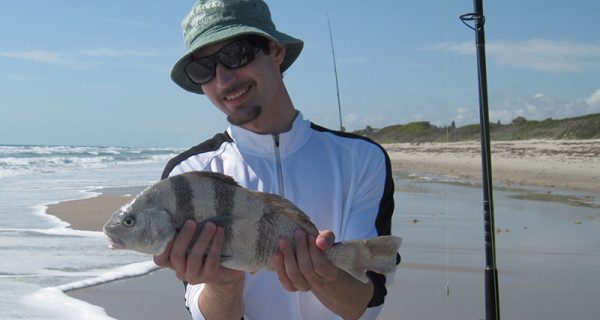 Angler admires his 18 inch keeper black drum caught in the surf on a pompano rig and clam.