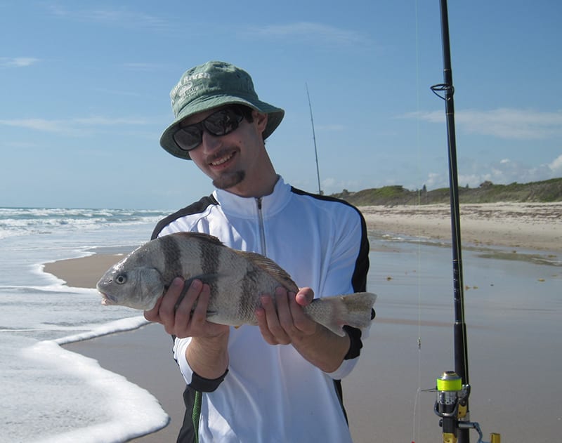 Angler admires his 18 inch keeper black drum caught in the surf on a pompano rig and clam. 