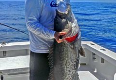 firedupcharters.com