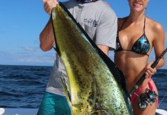 Capt. Jimmy Nelson and Luiza (www.fishingwithluiza.com) showing of a beautiful Mahi-Mahi.