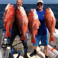Dr. John Brown and Dr. Tom Roberts picked off some amazing red snapper while spearfishing in 130 ft water off Orange Beach, AL.