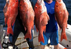 Dr. John Brown and Dr. Tom Roberts picked off some amazing red snapper while spearfishing in 130 ft water off Orange Beach, AL.