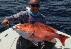 CAM Co-publisher Paul Caruso takes a day off from the magazine to catch a nice red snapper with Underdog Fishing Charters (pg#18).