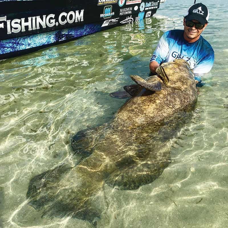 No Bananas! Captain Marko with a giant goliath grouper