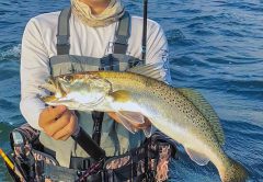 How not to catch Dink Trout and catch big Trout