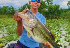 Giant Bass at Lake Istokpoga
