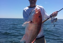 Paul Caruso shows off a beautiful Red Snapper caught off of Orange Beach.